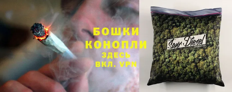 Марихуана THC 21%  где купить наркоту  Малаховка 